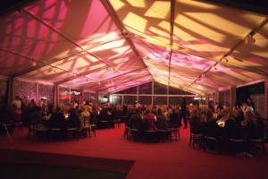 Photo from the 2010 event, Another Great Night in November